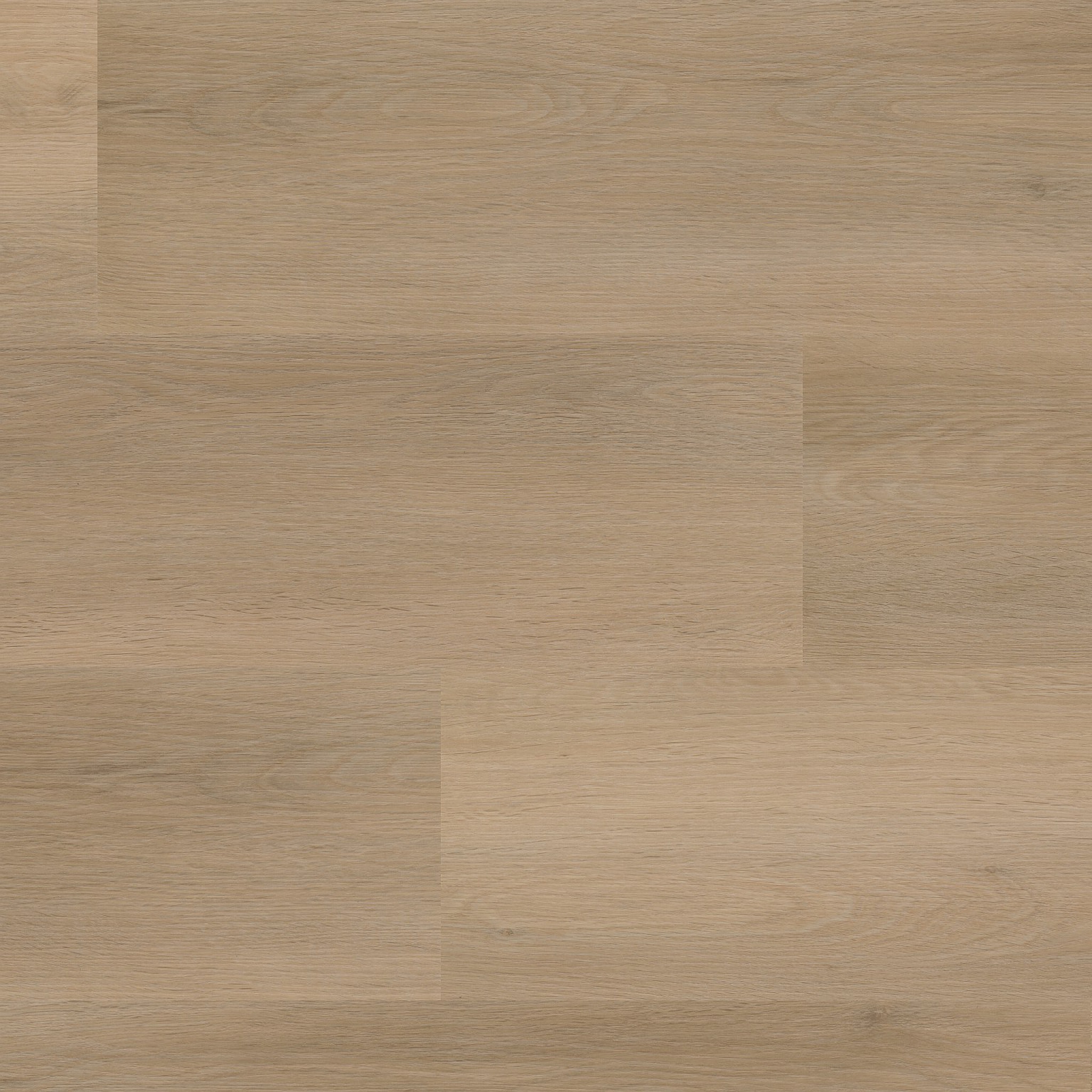 Ambiant Sentima click beige PVC vloer — direct leverbaar uit voorraad