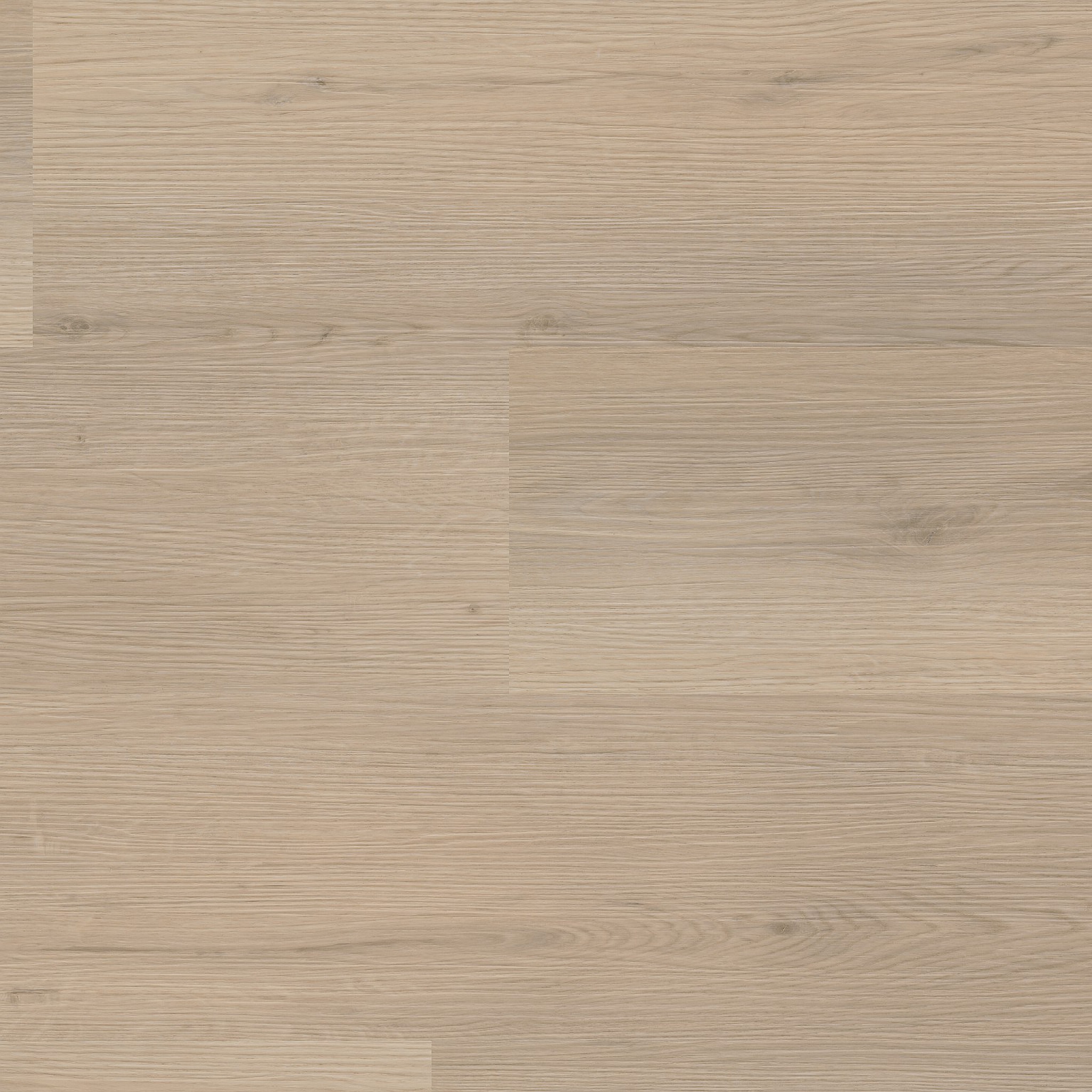 Ambiant Venera dryback beige PVC vloer — direct leverbaar uit voorraad